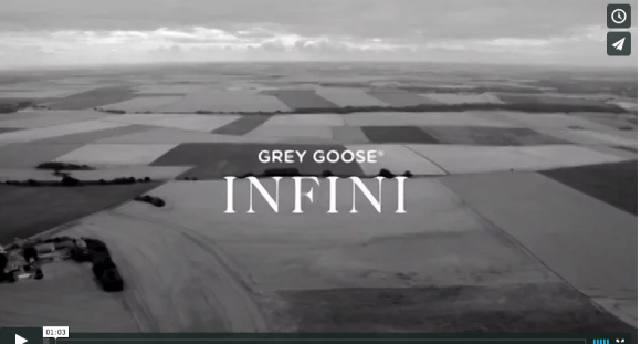 Grey Goose Infini