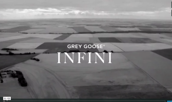 Grey Goose Infini